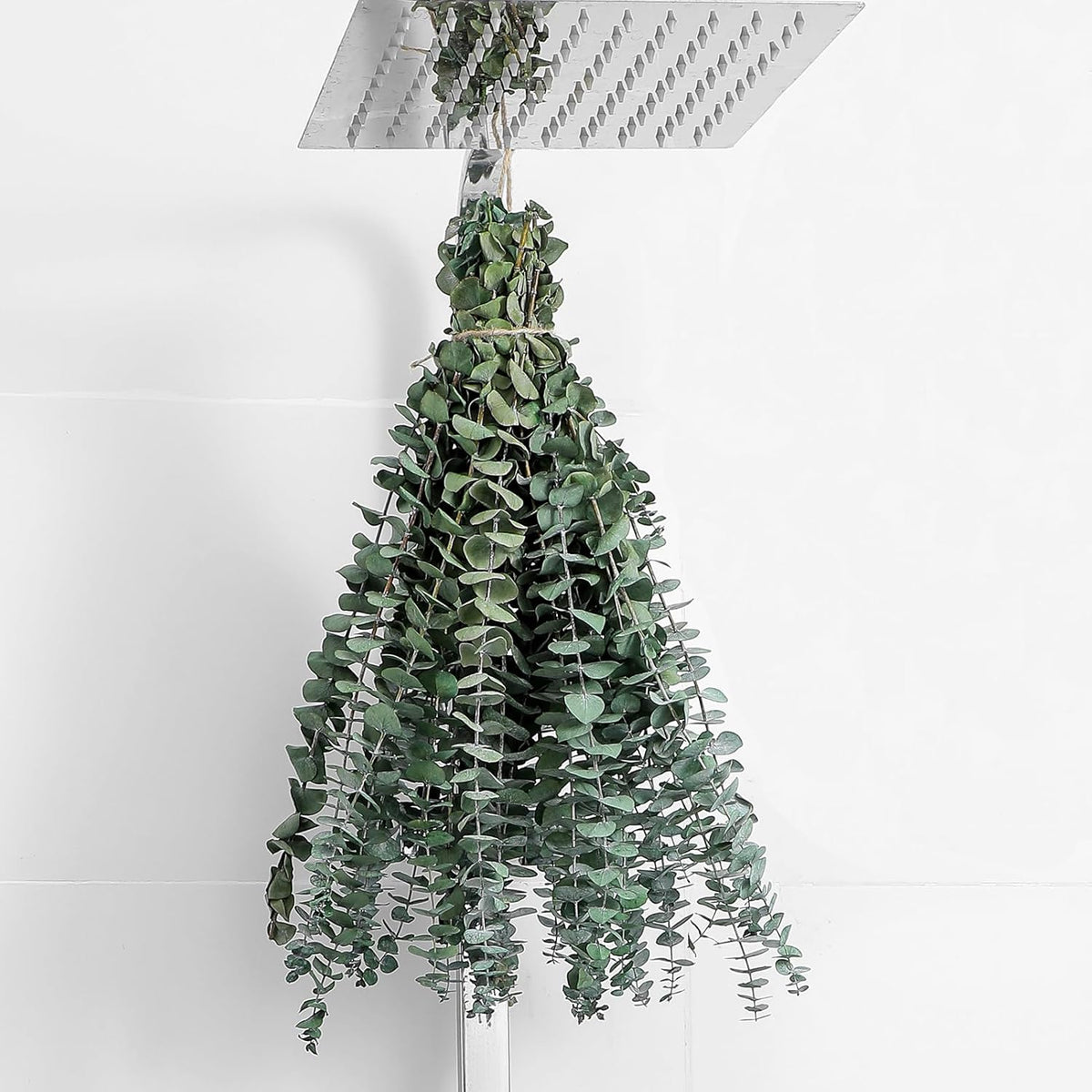 Dried Eucalyptus Stems for Shower Hanging