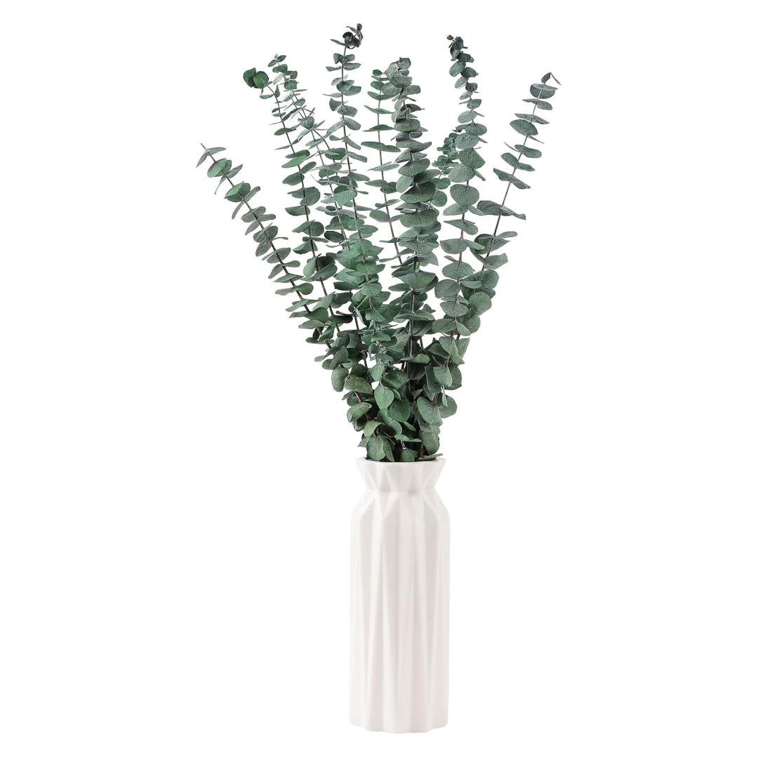 Dried Eucalyptus Stems for Shower Hanging