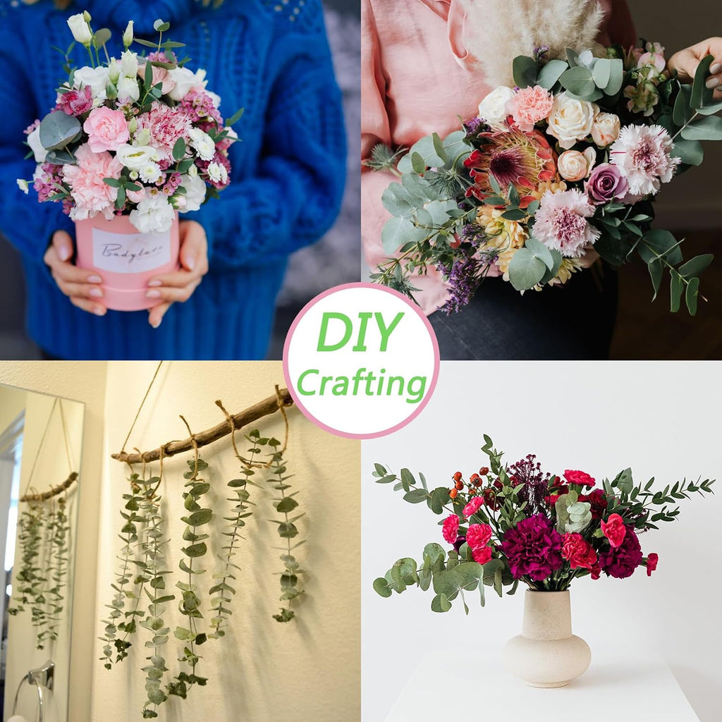 Dried Eucalyptus Stems for Shower Hanging