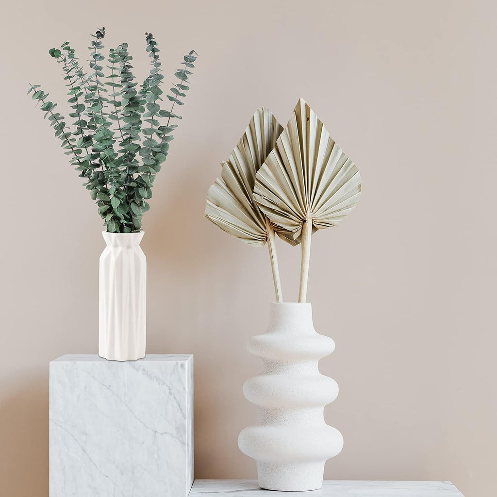 Dried Eucalyptus Stems for Shower Hanging